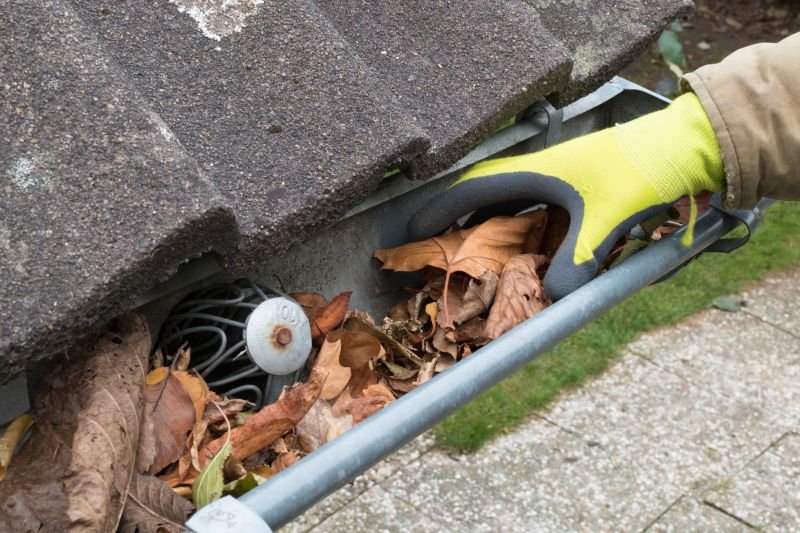 Summer Gutter Cleaning